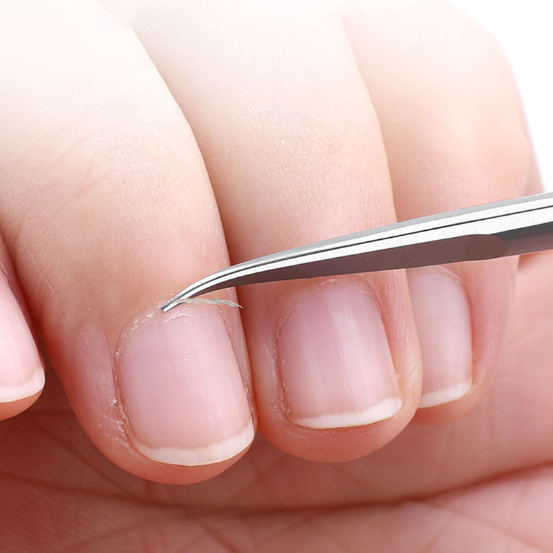 Stainless Steel Curved Tip Cut - Nail Extension Form ulasan dan harga
